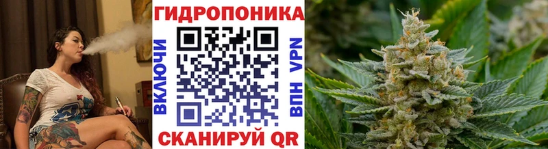 Что такое Снежинск Каннабис  Меф  APVP  АМФ  COCAIN  ГАШИШ 