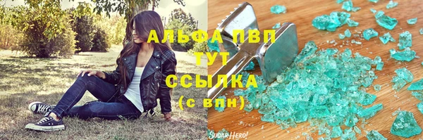 PSILOCYBIN Вязники