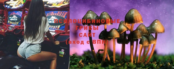 марихуана Вяземский