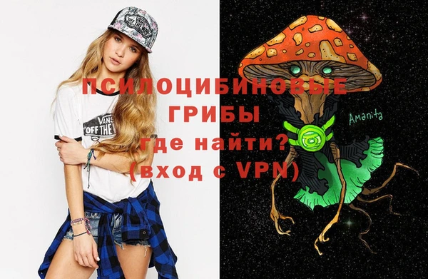 PSILOCYBIN Вязники